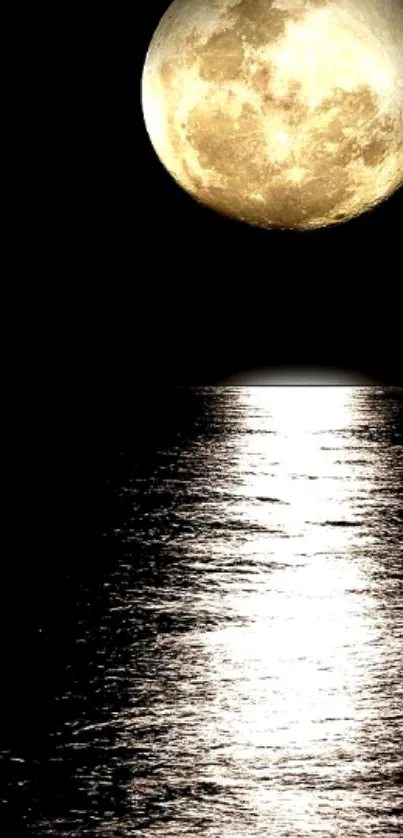 Moonlit ocean reflecting full moon's glow