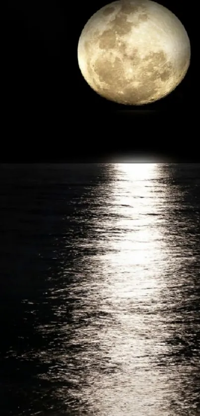 Nighttime scene of a full moon reflecting on a calm ocean surface.