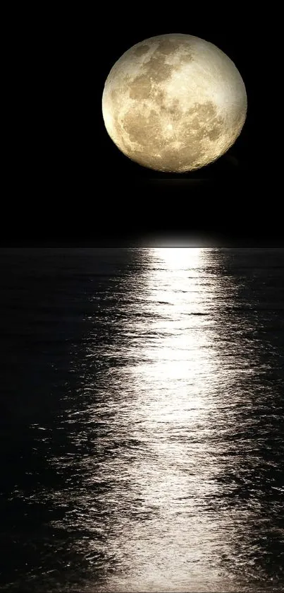 Moonlit ocean reflecting serene moonlight on calm waters.