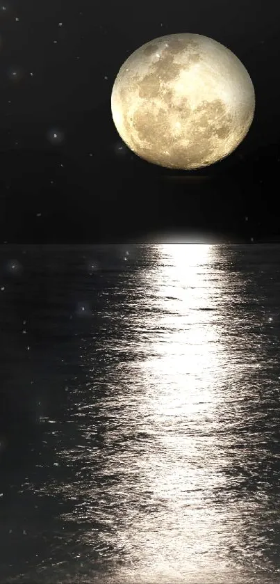 Moonlit ocean with a glowing reflection on water, under a black sky.