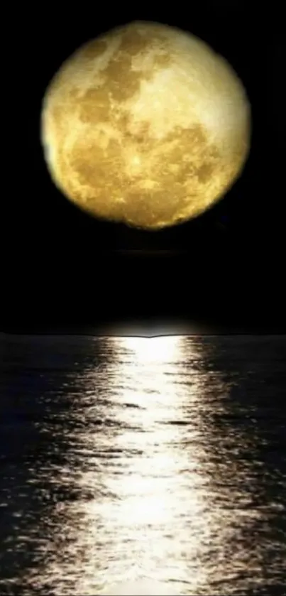 Full moon reflecting in ocean waters at night.