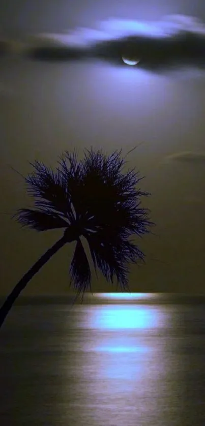 Silhouette of a palm tree under a moonlit sky reflecting on ocean waters.