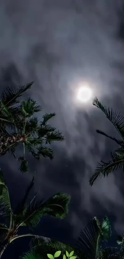 Night sky with moon and palm trees casting silhouettes.