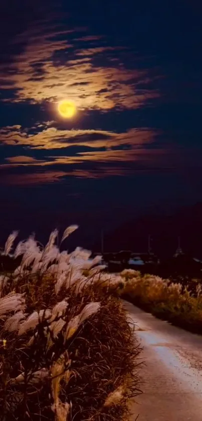 Moonlit pathway surrounded by nature under a starry night sky.