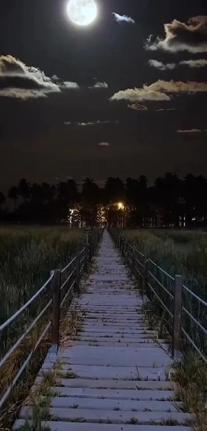 Moonlit wooden pathway under a serene night sky.