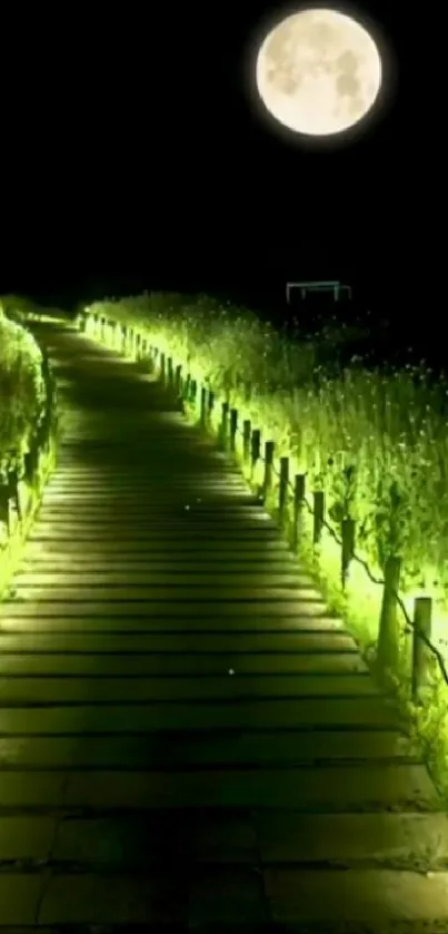 Moonlit pathway through lush greenery at night.