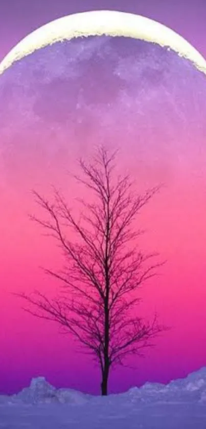 Silhouetted tree under pink and purple moonlit sky wallpaper.