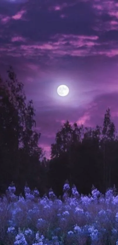 Purple night sky with a full moon over a meadow.