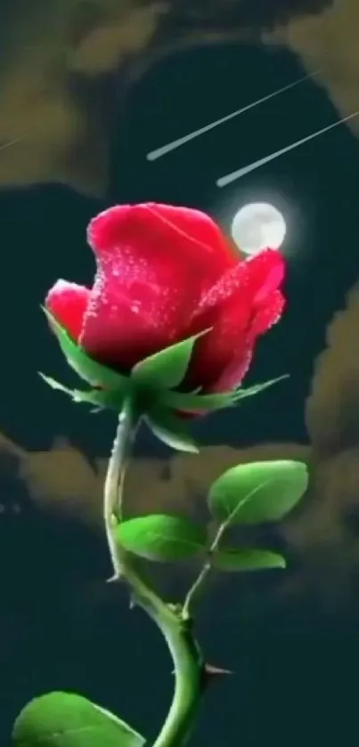 Red rose under moonlight with dark background.