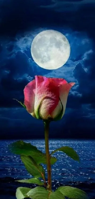 Moonlit rose against ocean with moonlight glow.