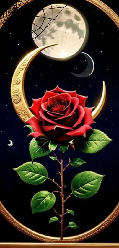 Red rose with crescent moon on a dark background