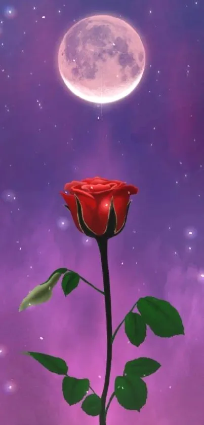 A vibrant red rose beneath a full moon against a starry purple sky.