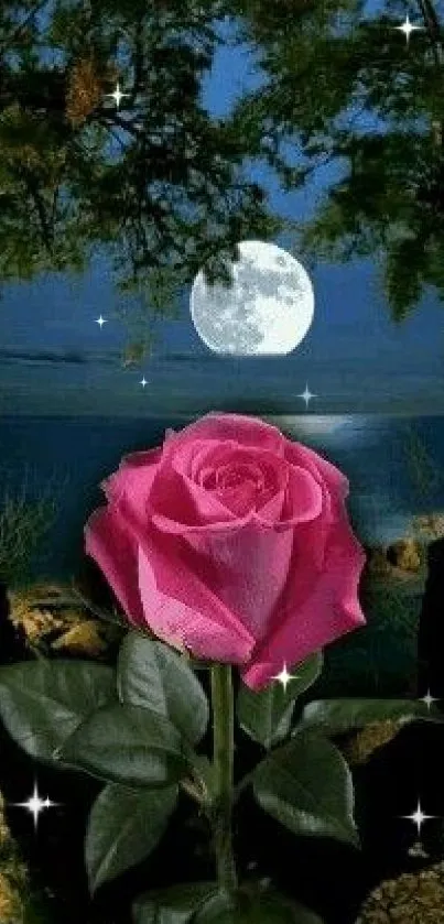 Pink rose with moonlit night sky backdrop.