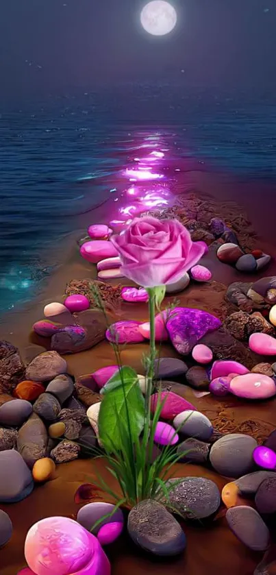 A single rose on a moonlit pebble path by the beach, under a serene night sky.