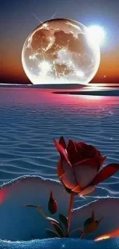 Rose blooming on sandy surface under a bright moonlit sky.