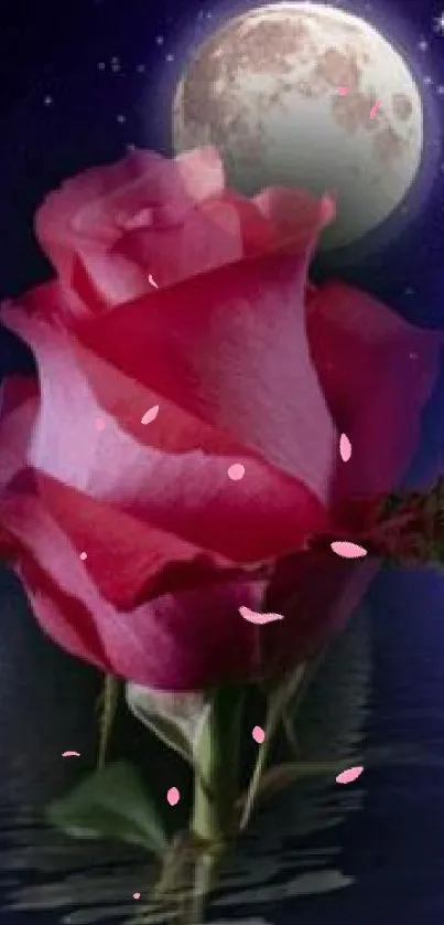 Moonlit rose with reflection on calm water.