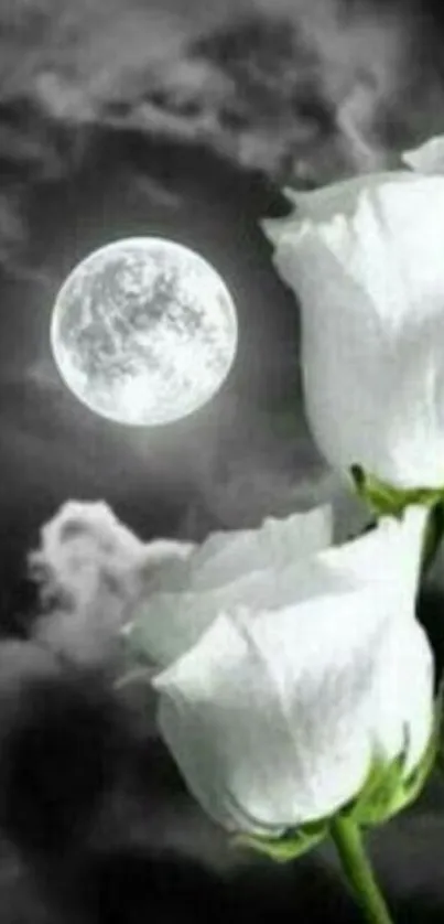 Moonlit white roses against a dark, cloudy night sky.