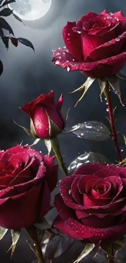 Moonlit roses against a night sky mobile wallpaper.