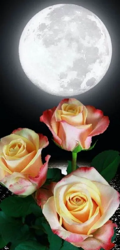 Pink roses beneath a full moon with dark background.