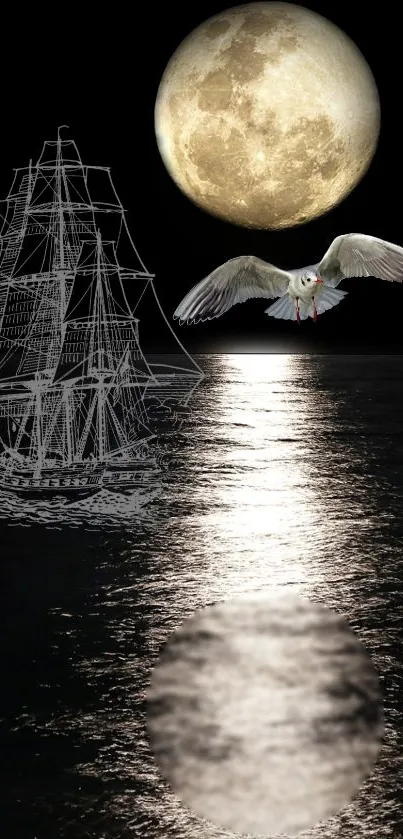 Moonlit sea with ship and seagull backdrop.