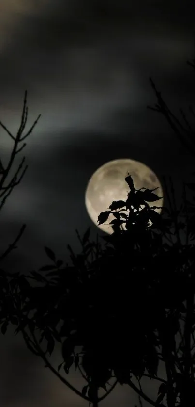 Full moon with silhouetted branches in night sky.