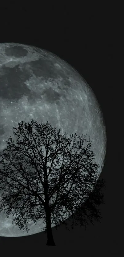 Silhouette of a tree against a large, luminous full moon.