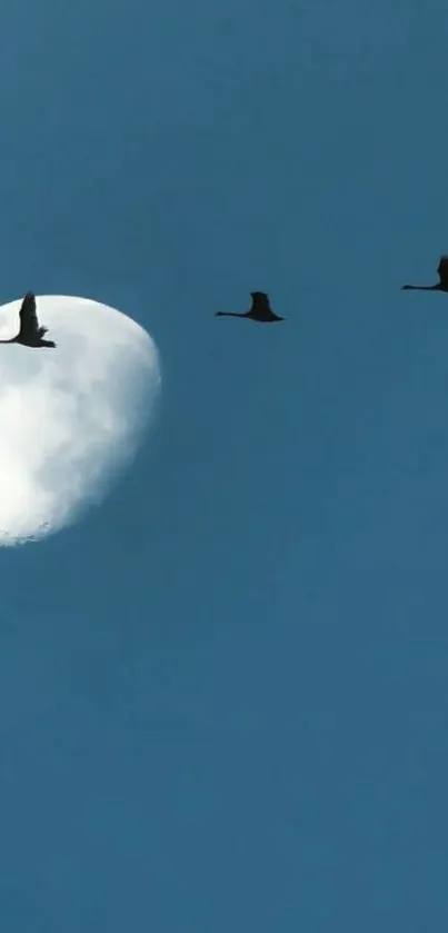 A crescent moon and birds in flight against a blue sky.