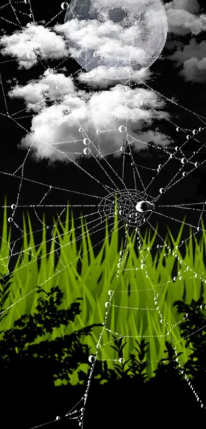 Moonlit spiderweb with clouds and grass in a moody night scene.