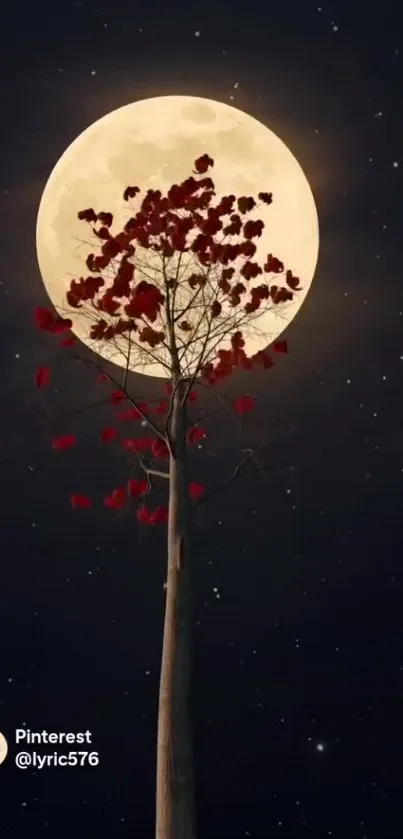 A tall tree silhouetted against a large full moon and starry night sky.