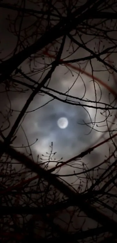 Full moon peeks through silhouetted tree branches at night.