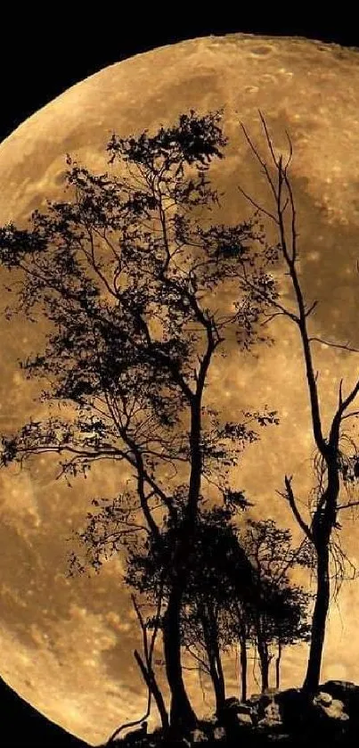 Silhouetted tree against full moon in mobile wallpaper.