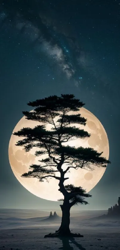 Silhouetted tree with full moon and starry sky.