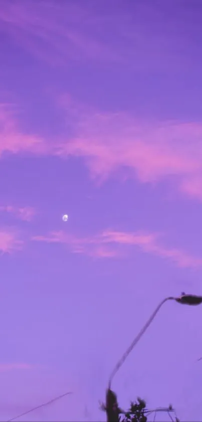 Moonlit violet sky with pink clouds and a streetlight silhouette.