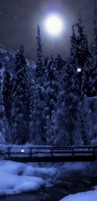 Moonlit snowy forest with bridge at night.