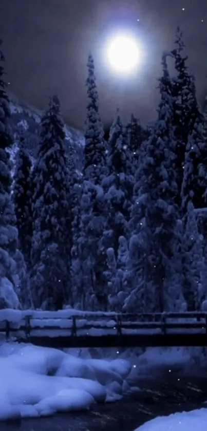 Serene moonlit winter forest with snow and a wooden bridge.