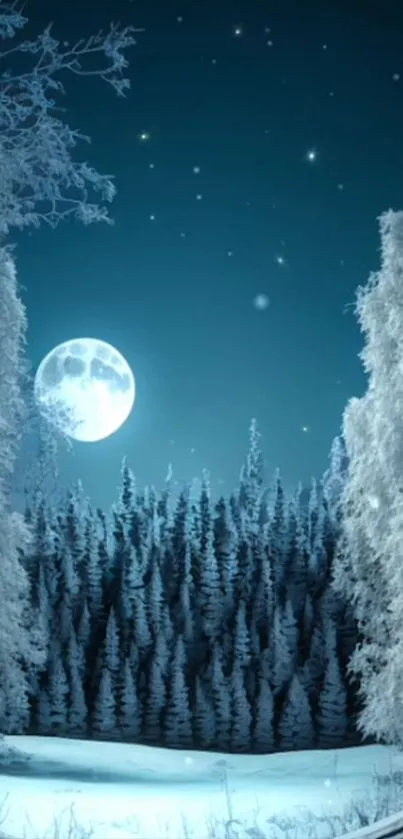 Moonlit winter forest with snow and stars.