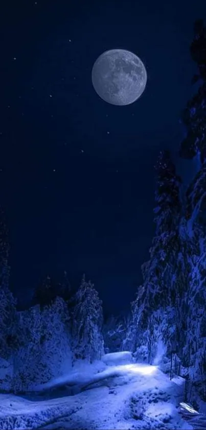 Moonlit snow-covered trees under a night sky.