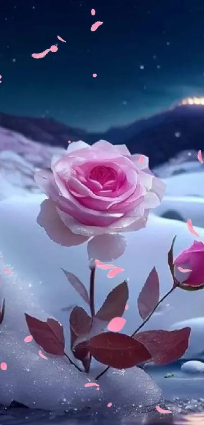 Moonlit rose in a snowy night landscape with tranquil beauty.