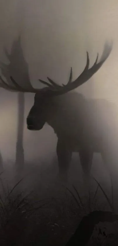 Moose silhouette in foggy forest setting with muted gray tones.