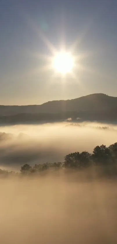 Sun rising over misty hills with soft light