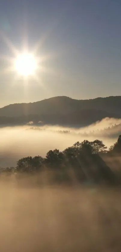 Golden sunrise over misty mountains with fog and trees.