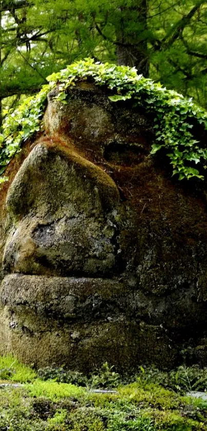 Moss-covered stone face with green foliage on a forested background.