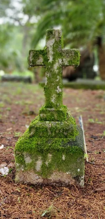 Moss-covered cross standing in tranquil forest setting.