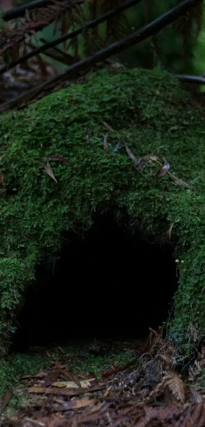 Dark green mossy cavern in a mystical forest setting.