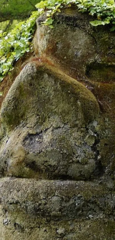 Moss-covered stone face in nature, creating a serene wallpaper design.