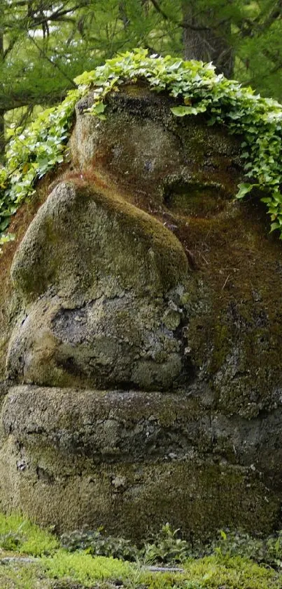 Moss-covered stone faces in a lush forest landscape.