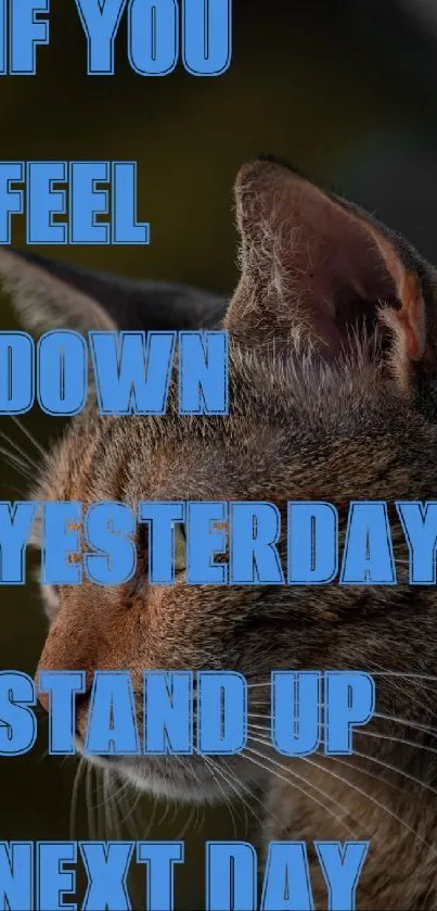 Inspirational cat wallpaper with motivational text in blue.