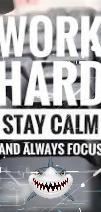 Motivational wallpaper with shark and text: 'Work Hard, Stay Calm, Always Focus'.