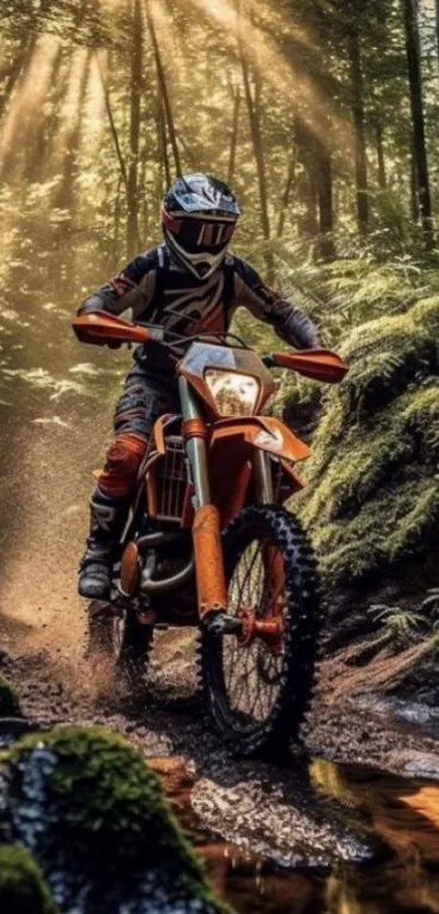 Motocross rider in a lush sunlit forest trail.