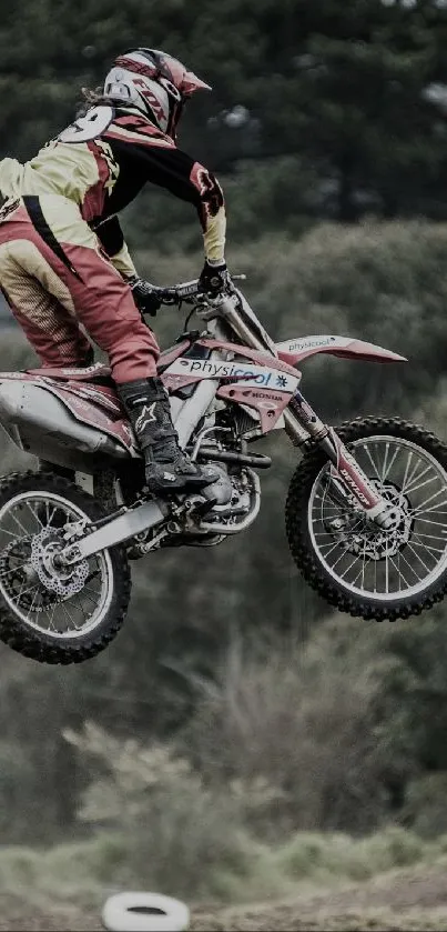 Motocross biker jumps mid-air with forest backdrop.